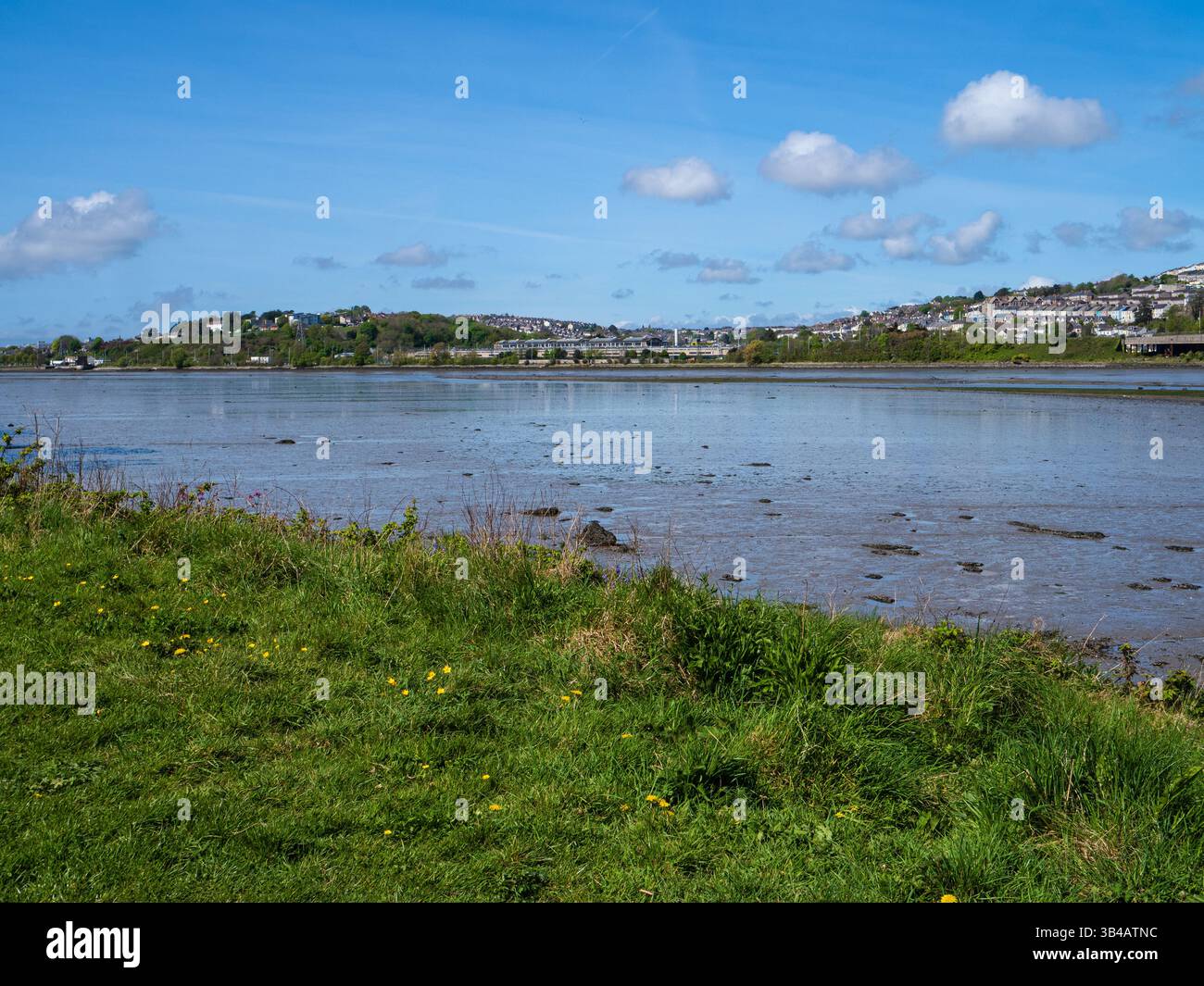 Vue sur l'estuaire de Plym, Plymouth, Devon, Royaume-Uni, à marée basse montrant les vasières exposées Banque D'Images