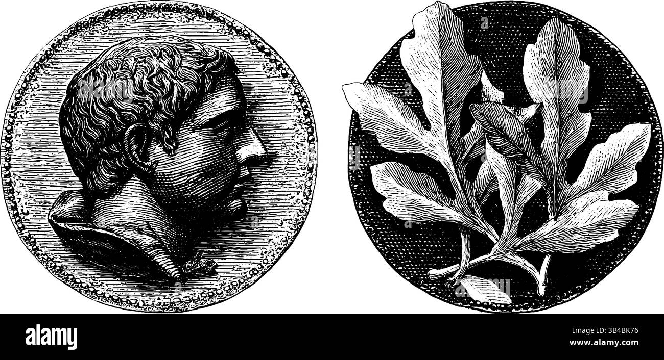 Illustration gravée d'une pièce de monnaie romaine et d'un ensemble de feuilles de laurier pour des dessins historiques. Illustration de Vecteur