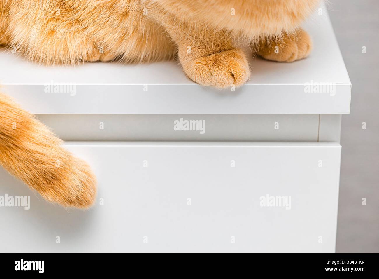 chat au gingembre assis sur le bord d'une table blanche. chat assis sur la table, gros plan. Banque D'Images