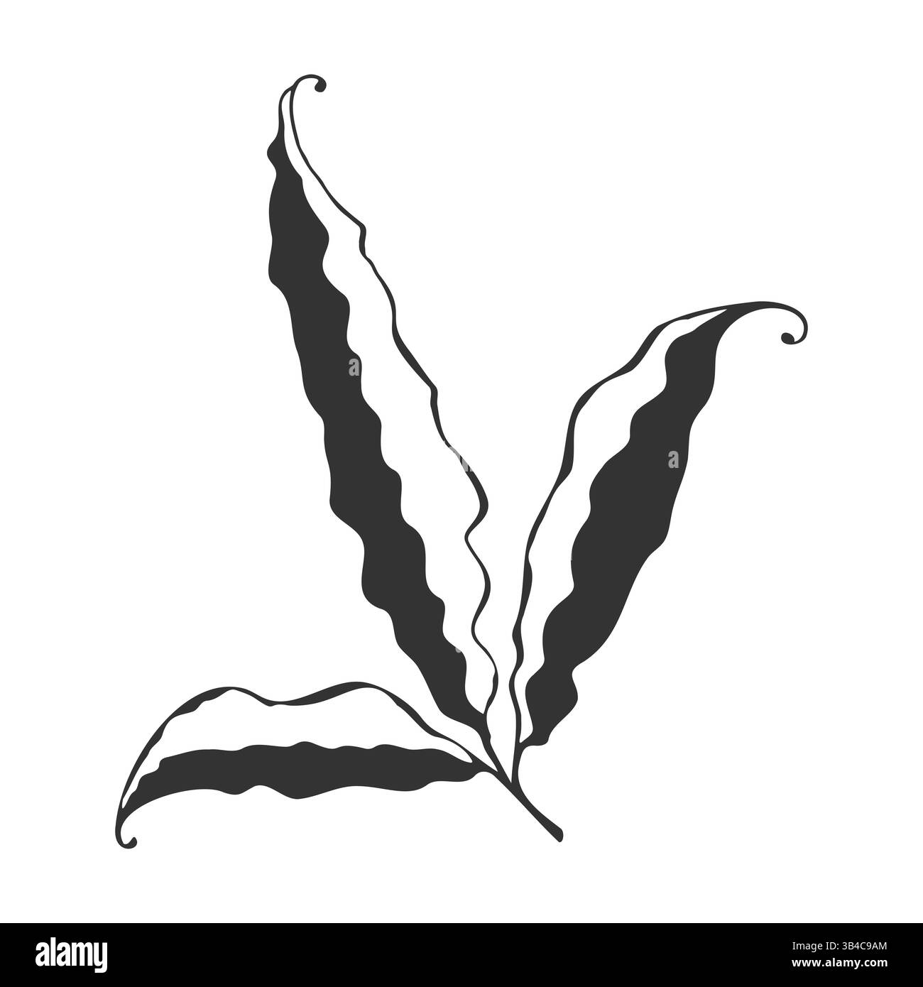 Feuille doodle dessinée à la main, silhouette feuilles sur fond blanc. Conception d'éléments botaniques. Illustration vectorielle Illustration de Vecteur