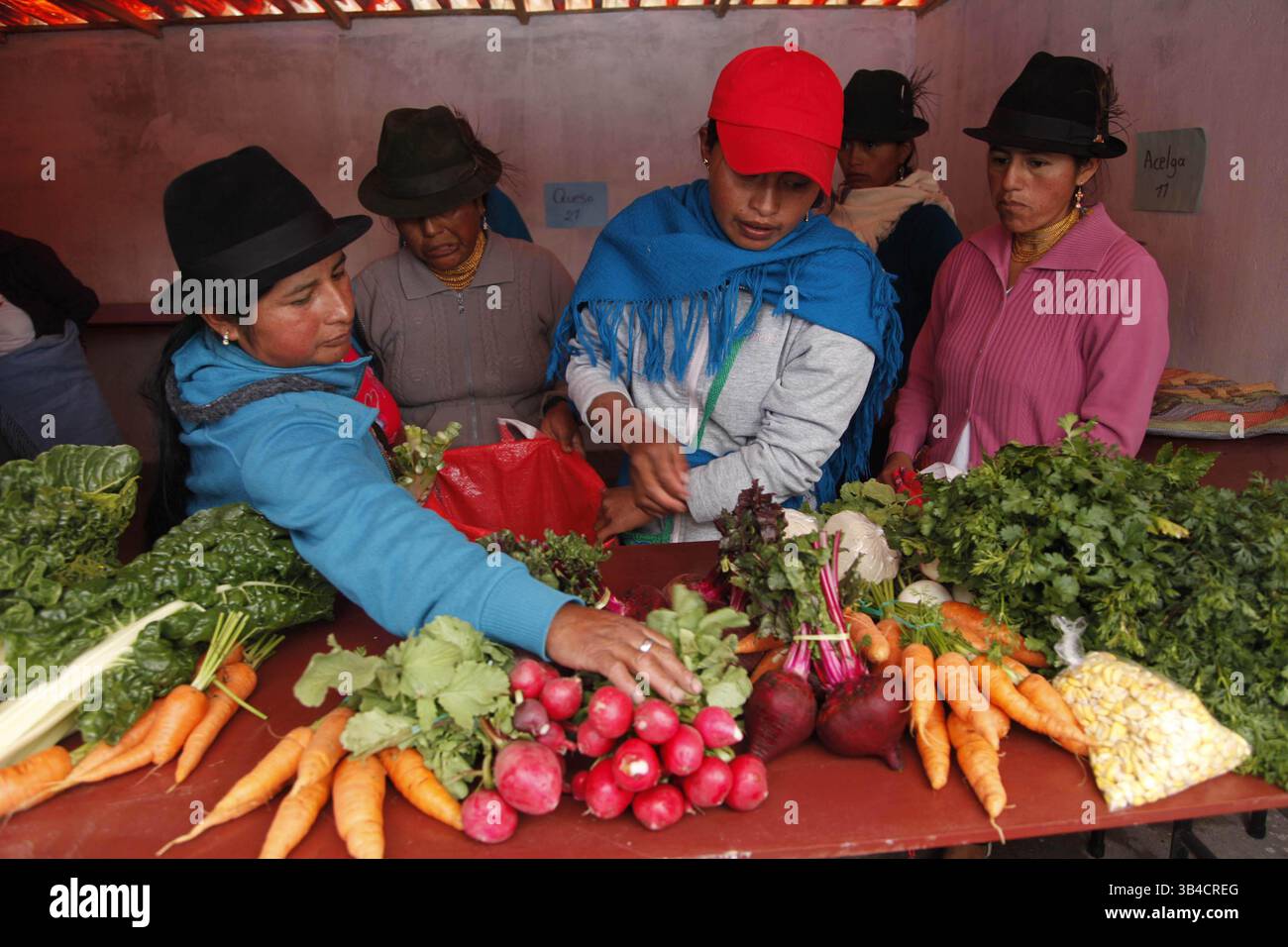 17 juillet 2015 - Cangahua, Pichincha, Équateur - Cangahua Équateur. 16/07/2015. Équateur. La Asociacion Warmikunapak Mushug Yuyay de Cangahua Cayambe impulsa varias actividades en el cuidado de su habitad. Trabajan 45 socias en la produccion de huertos organicos y productos de ciclo corto. CADA canasta es colocada 22 productos y tiene un costo de 20 dolares para la venta al publico. Sebastiana Farinango coloca en la canasta acelga, papas, habas, zanahoria, cebada, ETC.Foto : Galo Paguay / El Comercio / GDA (image crédit : © El Comercio/GDA via ZUMA Press) Banque D'Images