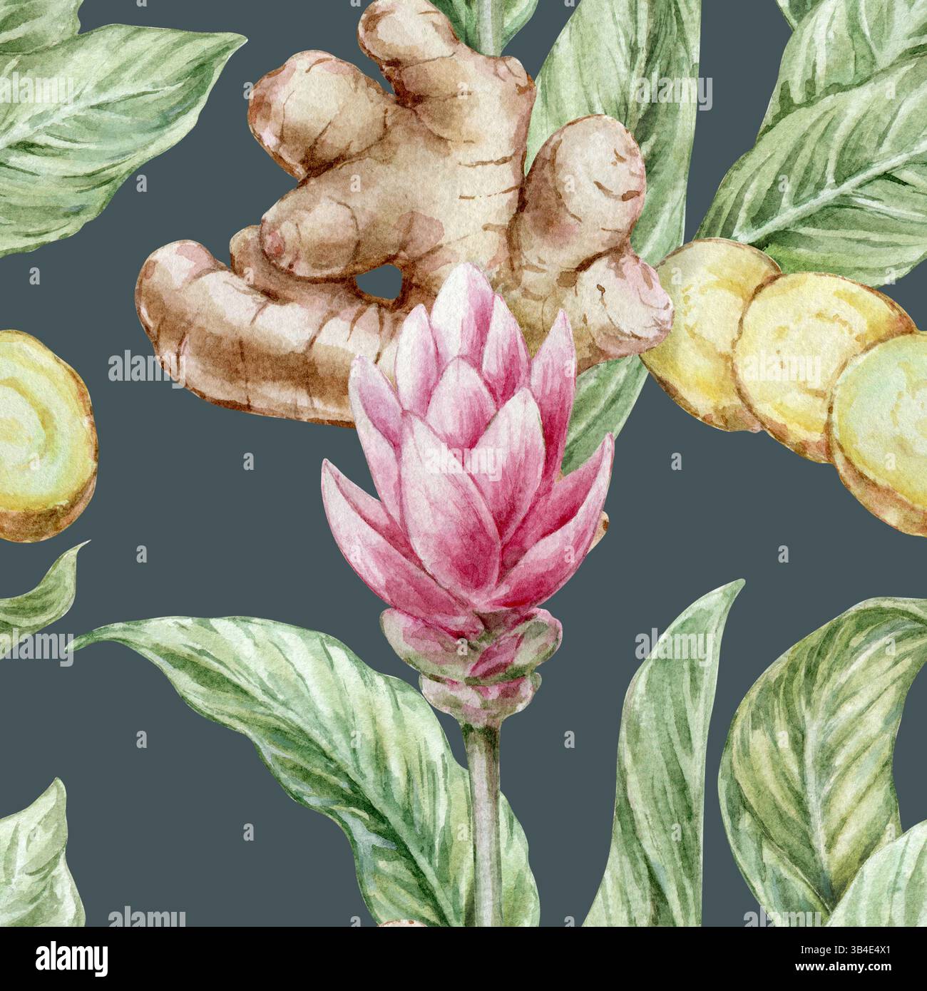Fond botanique aquarelle sans couture fait à la main avec des feuilles de racine de gingembre et des fleurs sur un fond vert foncé Banque D'Images