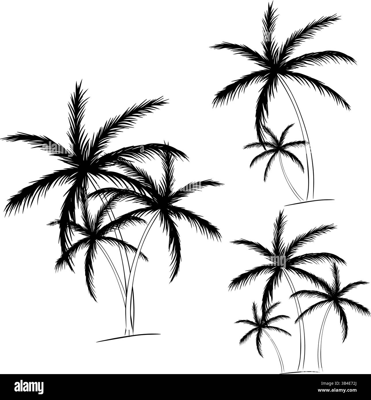 Ensemble de palmiers noirs ensemble de composition dessiné à la main. Encre de ligne graphique vectorielle isolée. Silhouettes de palmier. Conception de palmiers pour affiches, bannières ou p Illustration de Vecteur