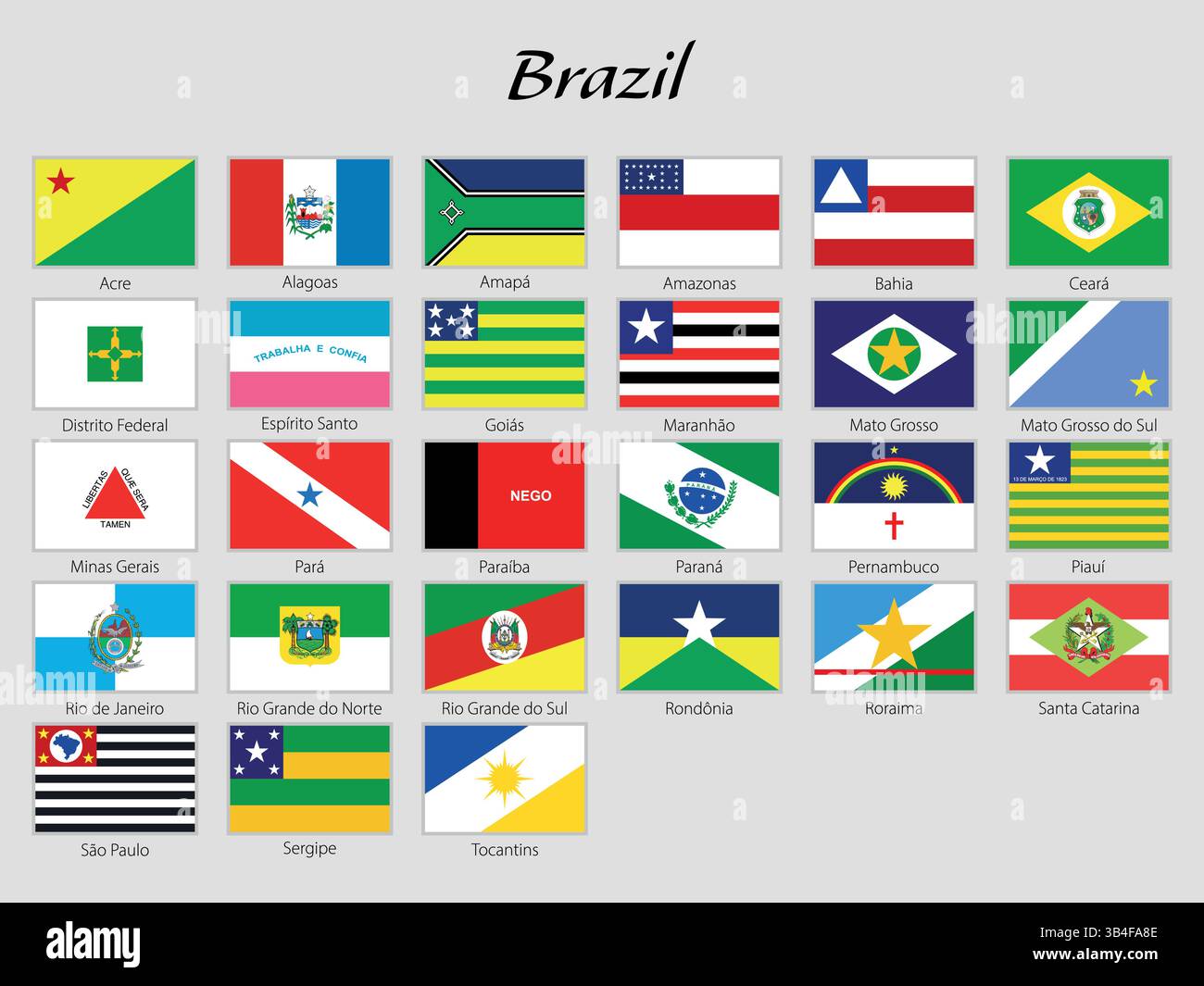 Une collection de drapeaux brésiliens affichés avec des noms étiquetés en dessous, soigneusement disposés dans une grille Illustration de Vecteur