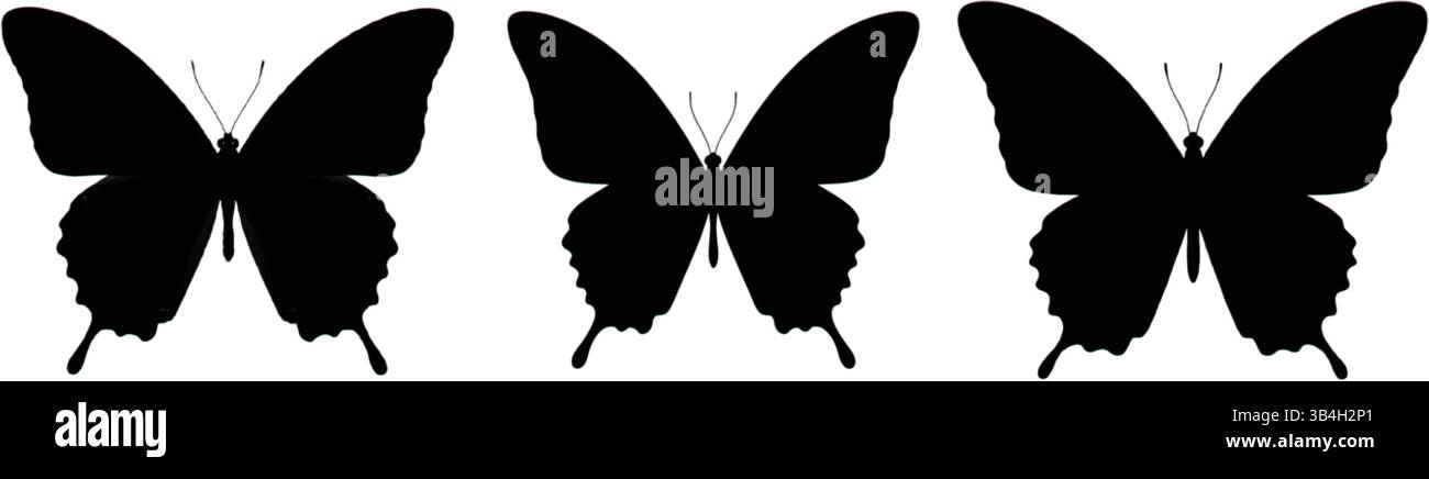 Silhouettes de trois papillons dans une rangée horizontale sur un fond blanc, motifs d'insectes noirs symétriques idéaux pour les bordures décoratives, les impressions Illustration de Vecteur