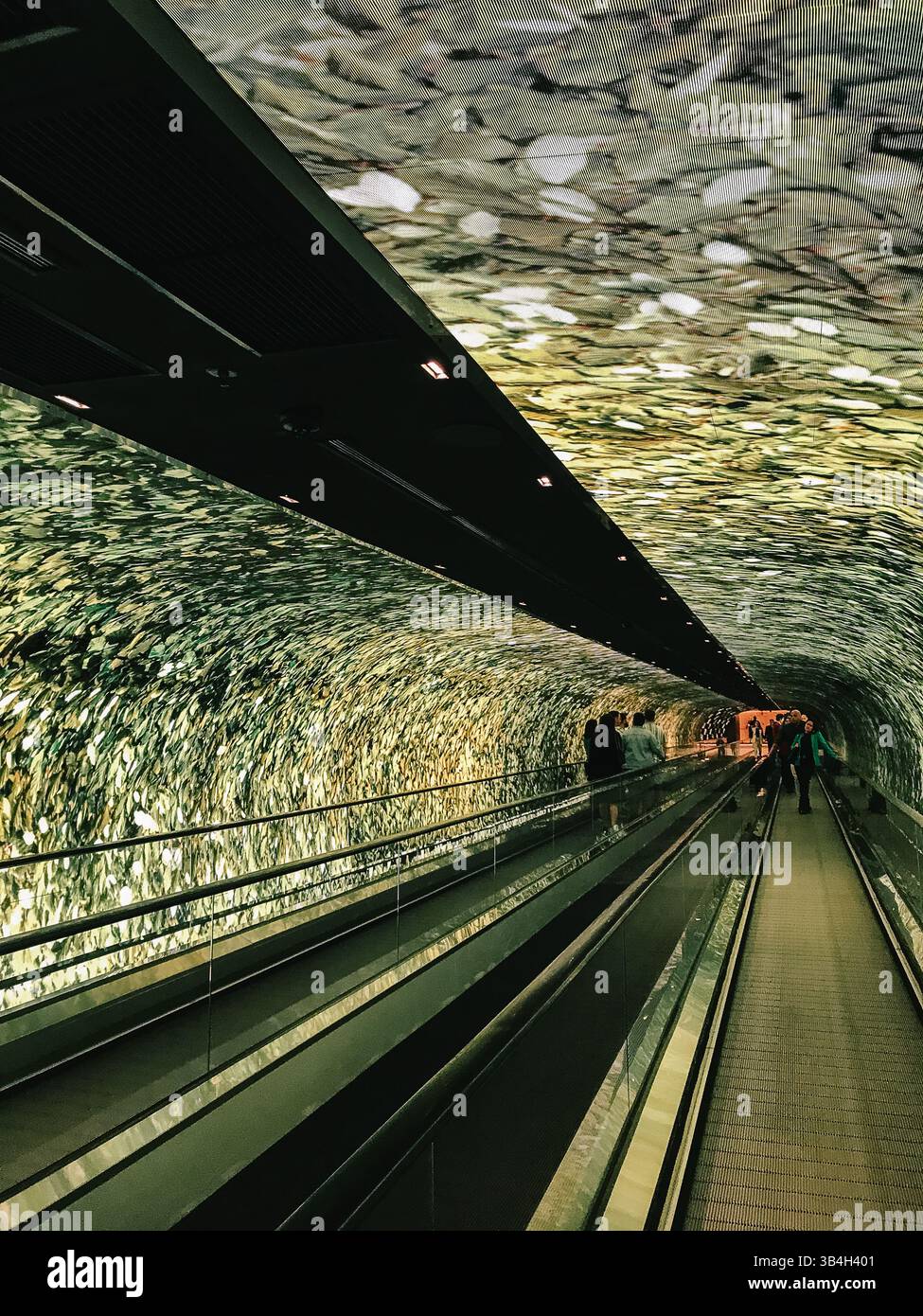Passerelle immersive tunnel au centre commercial Cidade Jardim, São Paulo, Brésil Banque D'Images