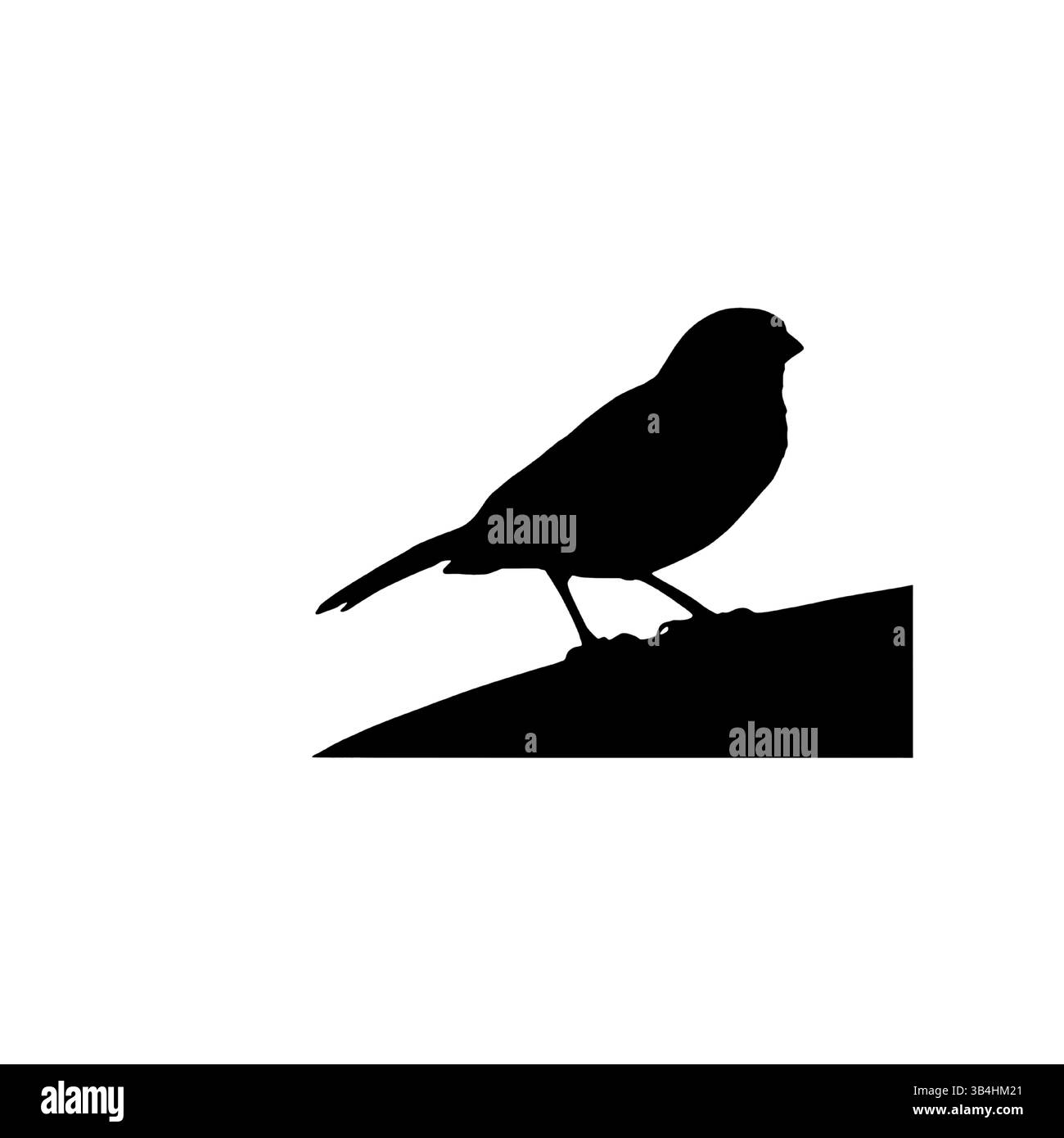 Silhouette d'un oiseau chanteur perché sur une branche – Design minimaliste d'art d'oiseau Illustration de Vecteur Silhouette d'un oiseau chanteur perché sur une branche – Design minimaliste d'art d'oiseau Illustration de Vecteur