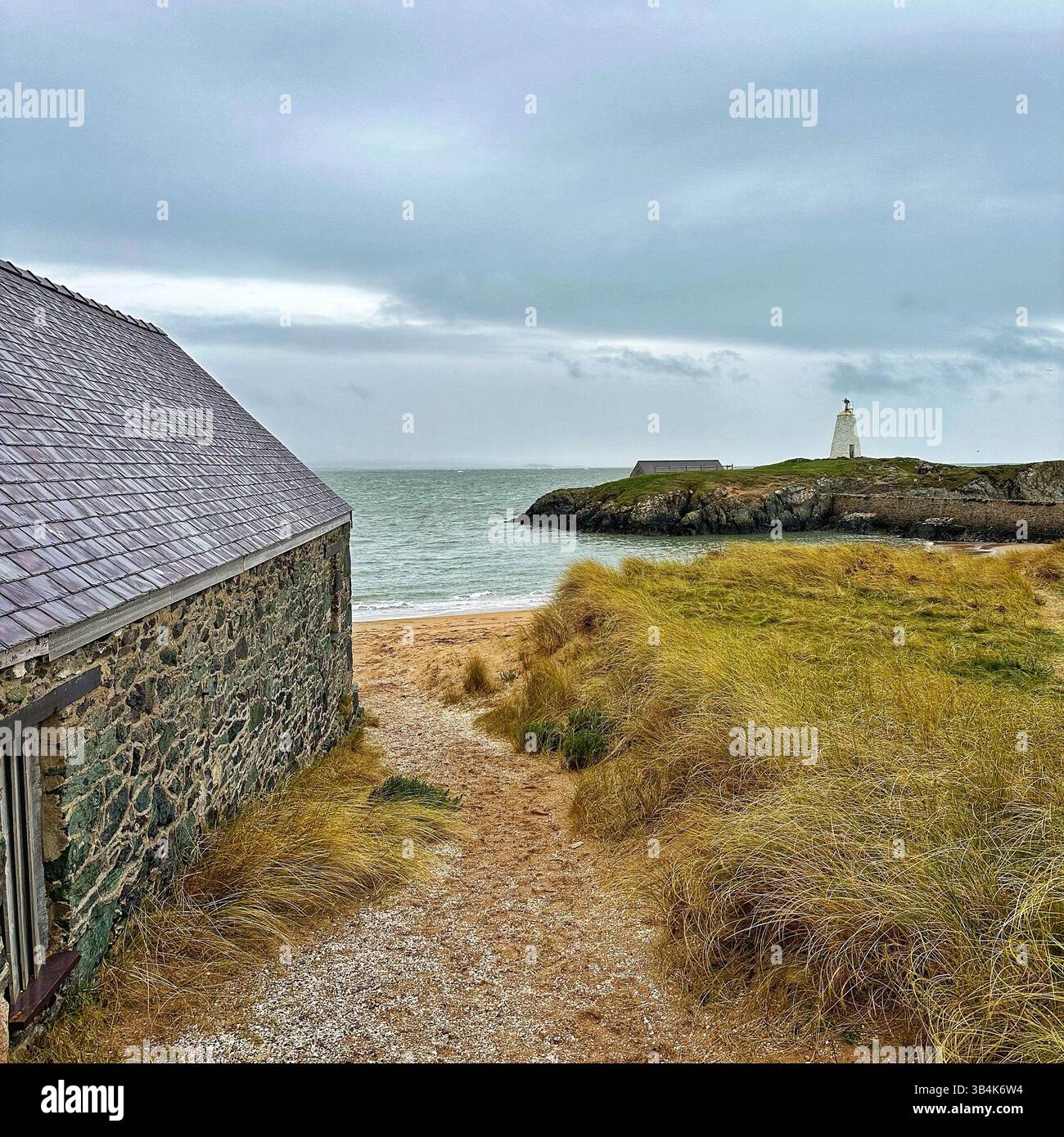 Chemin vers la plage à Ynys Llanddwyn, Anglesey, avec un bâtiment en pierre, de longues herbes, et la mer lointaine et le phare par une journée nuageuse. - Image de stock capturée avec un smartphone