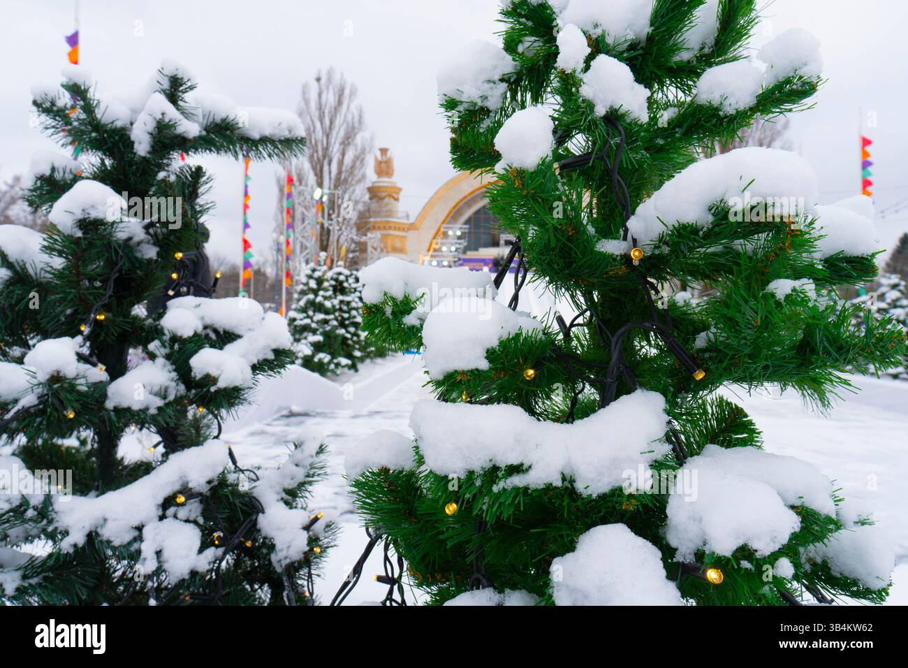 Arbres de Noël enneigés avec des lumières festives dans un parc d'hiver, ambiance de vacances décorative et joyeuse en plein air Banque D'Images