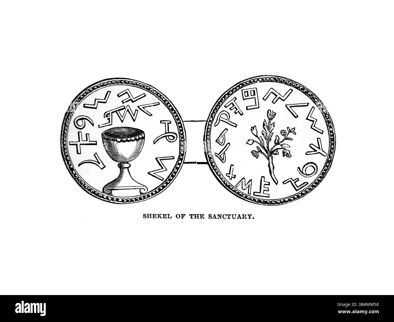 Illustration du Shekel du Sanctuaire utilisé comme unité de poids et de monnaie dans le Tabernacle (Exode) de l'antique XIXe siècle la Sainte Bible Banque D'Images