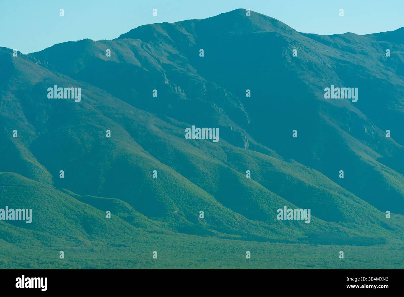 Spring Slope Serenity Banque D'Images