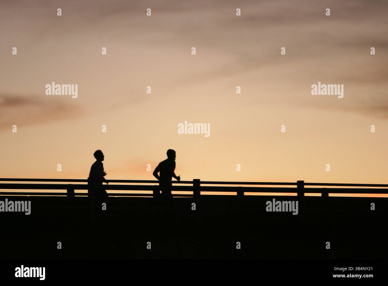 05 janvier 2010 - Tampa, FL, États-Unis - TP 316519  SANT Running .Luis Santana | Times.(1/5/2010, Tampa,FL) ..les coureurs parcourent le pont de Davis Island pour traverser Bayshore Blvd. ..four Green Fields Running Club se réunit tous les mardis à 18 h. les participants courent un 5 km le long du boulevard Bayshore, puis retournent au pub pour manger un repas gratuit après course.[Luis Santana | Times] (Credit image : © créé Petersburg Times/ZUMApress.com) Banque D'Images