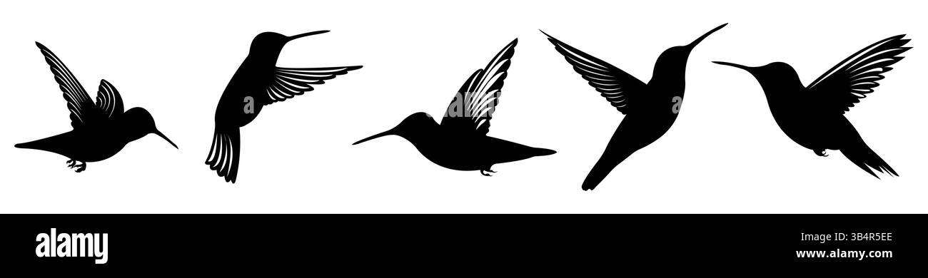 Silhouettes de colibri volant dans différentes poses isolé sur fond blanc Illustration de Vecteur