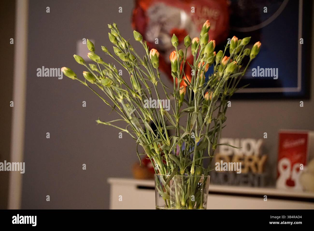 Boutons d'œillet disposés dans un vase en verre transparent à l'intérieur, servant de décoration florale simple mais élégante dans un intérieur moderne. . Horley, Angleterre Banque D'Images