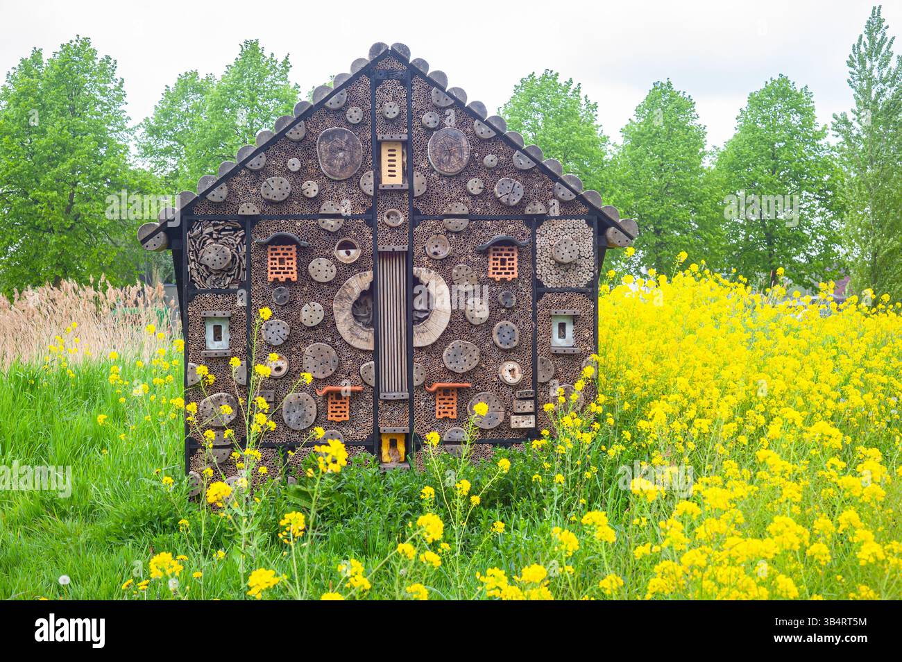 Plutôt grande maison d'insectes ou hôtel d'insectes au milieu de colza à fleurs jaunes à Waddinxveen, pays-Bas. Banque D'Images
