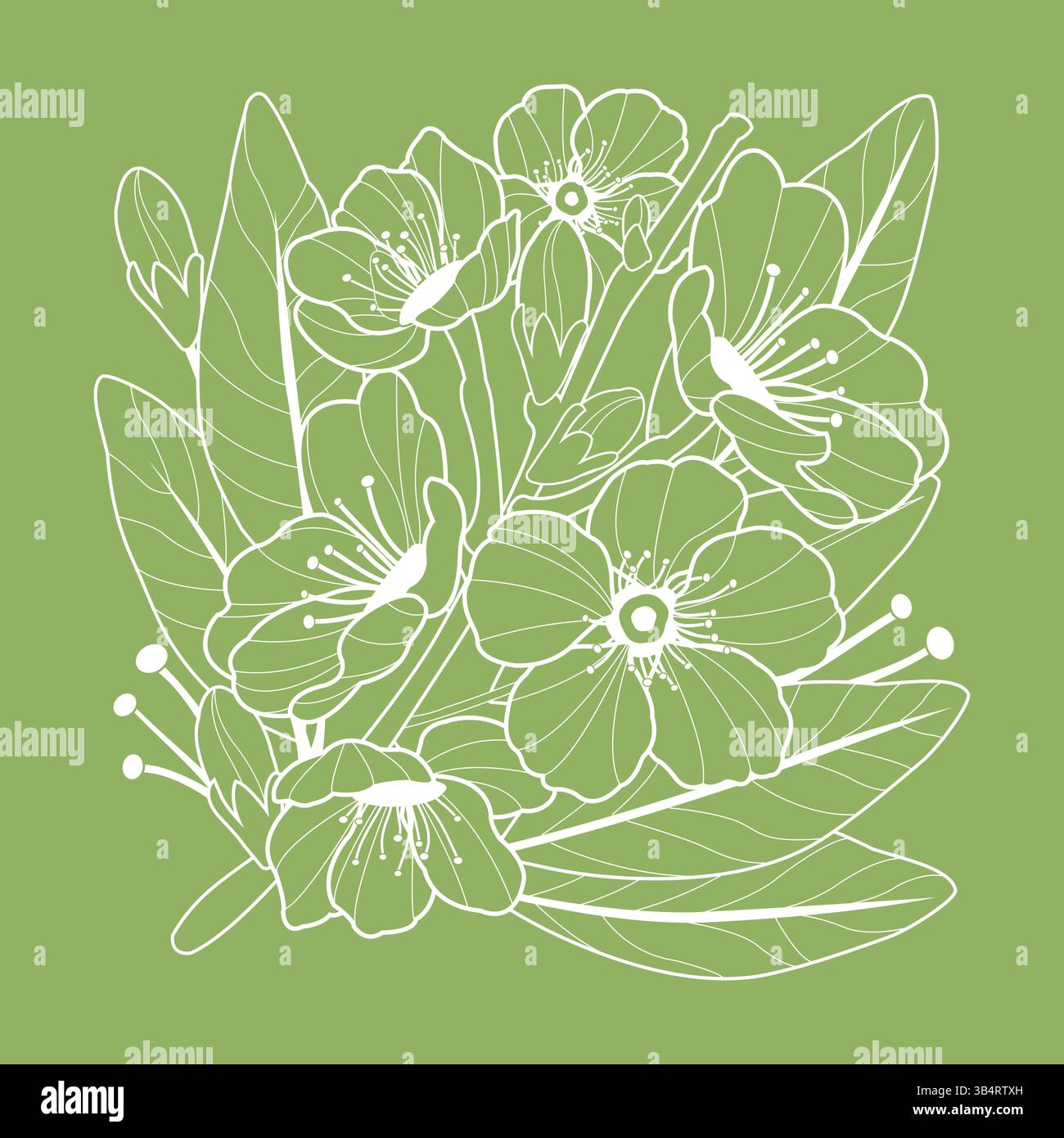 Branche d'amandier fleurie avec des fleurs sur fond vert. Branche avec des fleurs de printemps. Branche d'arbre fruitier. Illustration vectorielle Illustration de Vecteur
