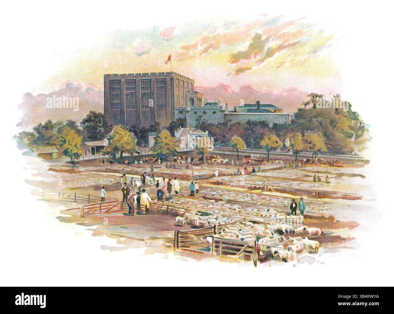 Illustration victorienne vintage du château de Norwich, avec le marché aux moutons au premier plan. Banque D'Images