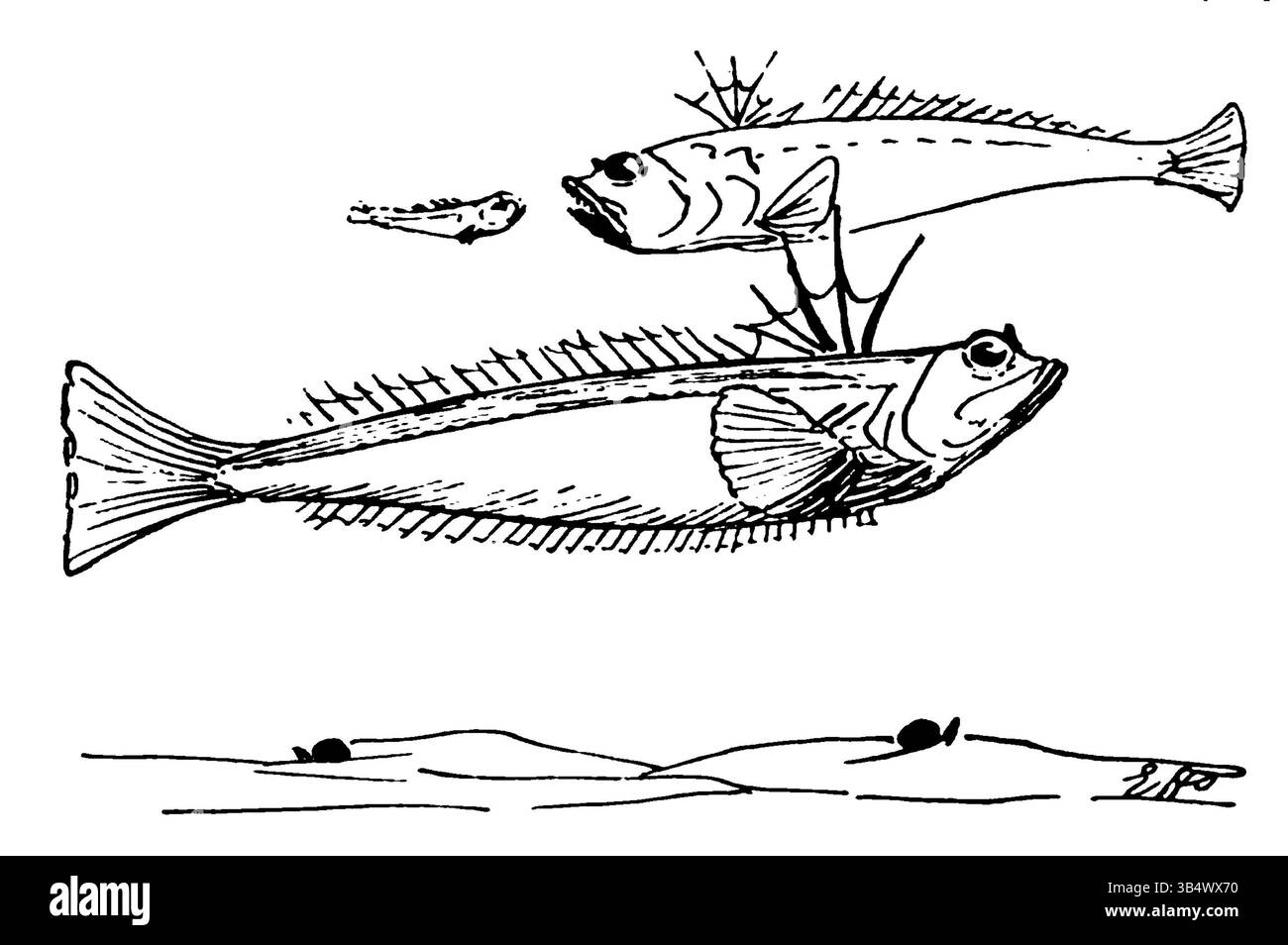 Cette image de la page 35 de l'œuvre de 1906 d'Eli Heimans 'Wandelen en waarnemen' dépeint une illustration liée à la marche et à l'observation, capturant les thèmes de l'exploration et de la perception. Banque D'Images