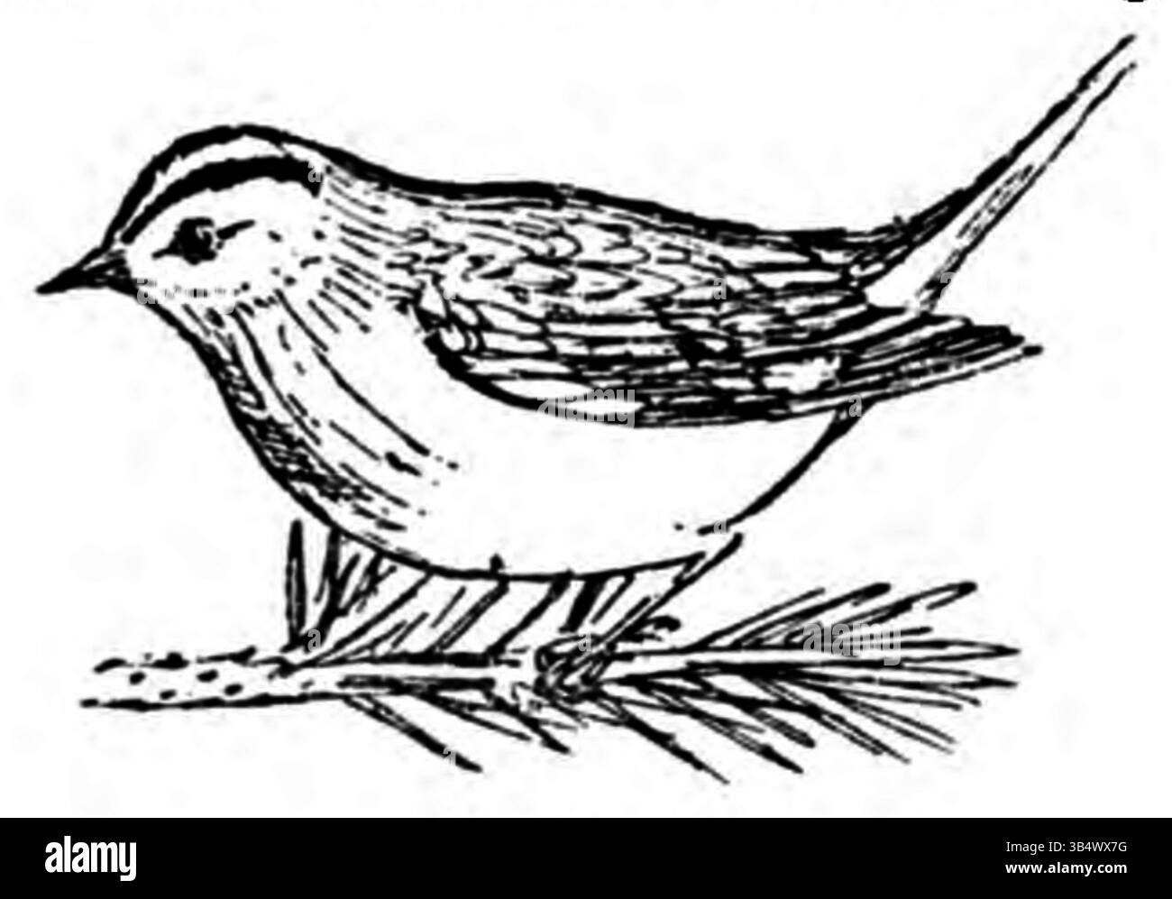 Image de la page 081 de Eli Heimans' 1906 'Wandelen en Waarnemen', se concentrant sur une observation détaillée d'un paysage ou d'une scène naturelle, soulignant la beauté et les subtilités de la nature. Banque D'Images