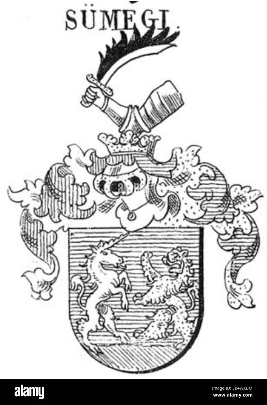 Les armoiries de la famille Sümeghy, originaire du comté de Zala, en Hongrie, représentent leur noble héritage. Les armes de la famille ont probablement été créées au XVIe siècle et sont liées à deux villes, Lovászi et Szentmargita. Le dessin a été présenté dans l’œuvre de Johann Siebmacher, une collection complète de symboles héraldiques de la noblesse allemande et hongroise. Banque D'Images
