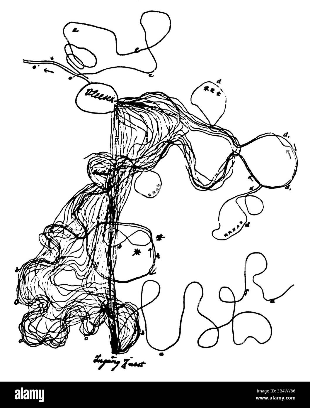 La page 029 du livre de 1906 d'Eli Heimans 'Wandelen en waarnemen' présente une autre étude visuelle de la nature, mettant en valeur ses observations détaillées et son approche artistique du paysage néerlandais. Banque D'Images