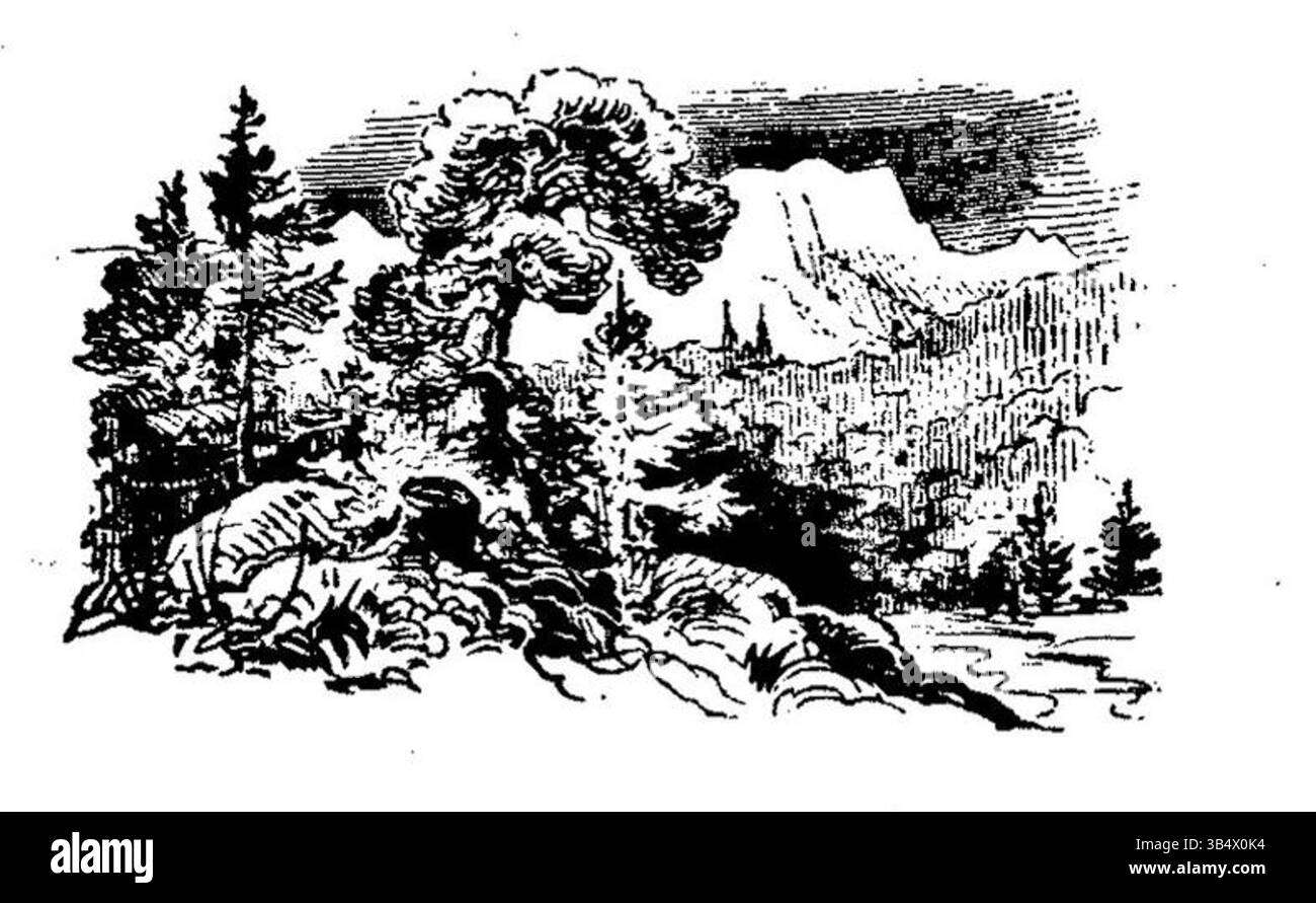 Cette illustration de 1846 tirée de « Fliegende Blätter », un magazine satirique allemand, représente une scène humoristique liée à des questions sociales contemporaines. L'illustration reflète le rôle du magazine dans le commentaire social et la satire au XIXe siècle. Banque D'Images