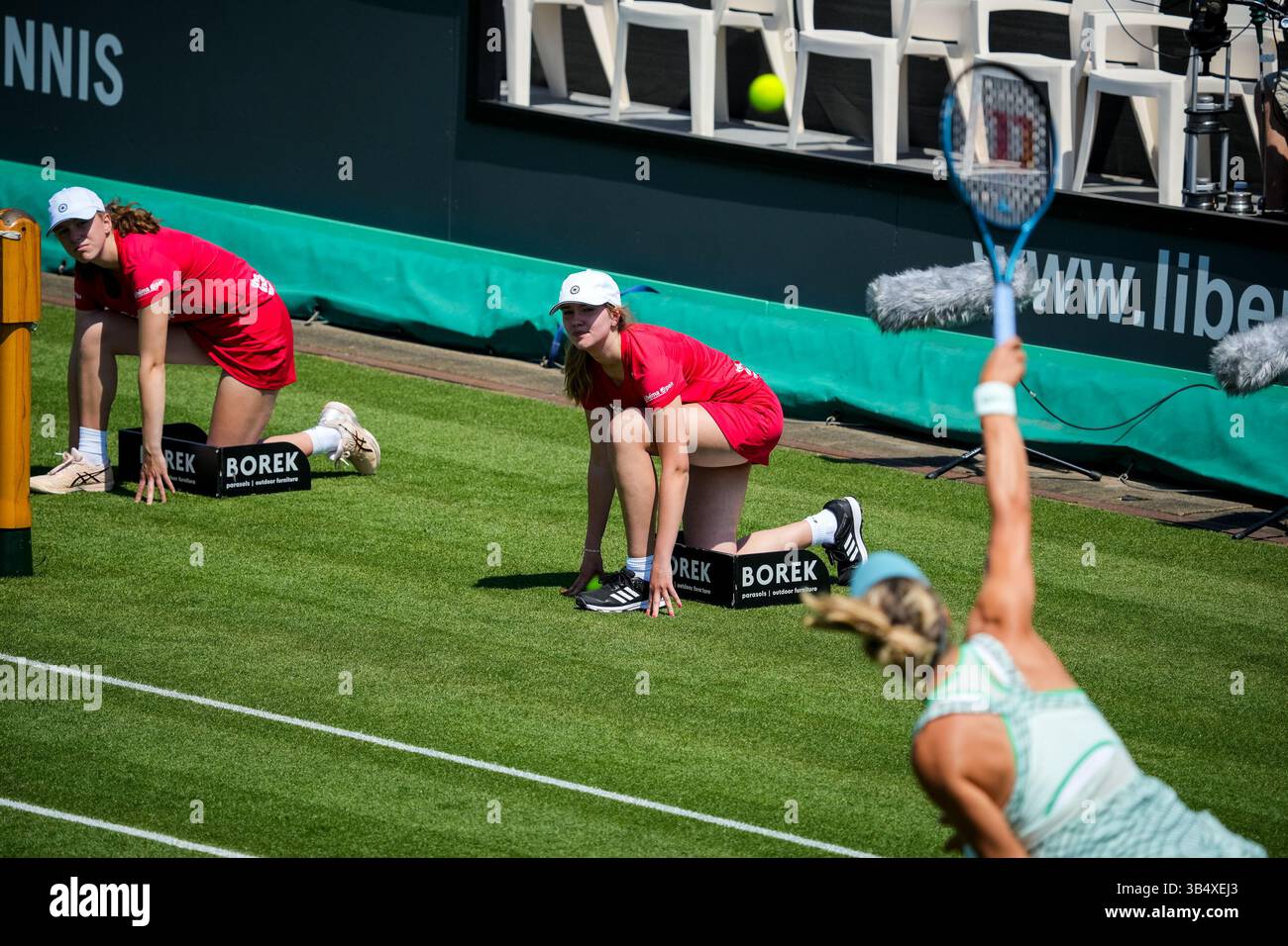 'S-HERTOGENBOSCH, PAYS-BAS - 12 JUIN : les Ballgirls regardent comment Victoria Azarenka de Biélorussie sert dans son match de premier tour en simple féminin contre Natalija Stevanovic de Serbie le jour 1 des Championnats Libema Open Grass court à l'Autotron le 12 juin 2023 à 's-Hertogenbosch, pays-Bas (photo de Rene Nijhuis/BSR Agency) Banque D'Images