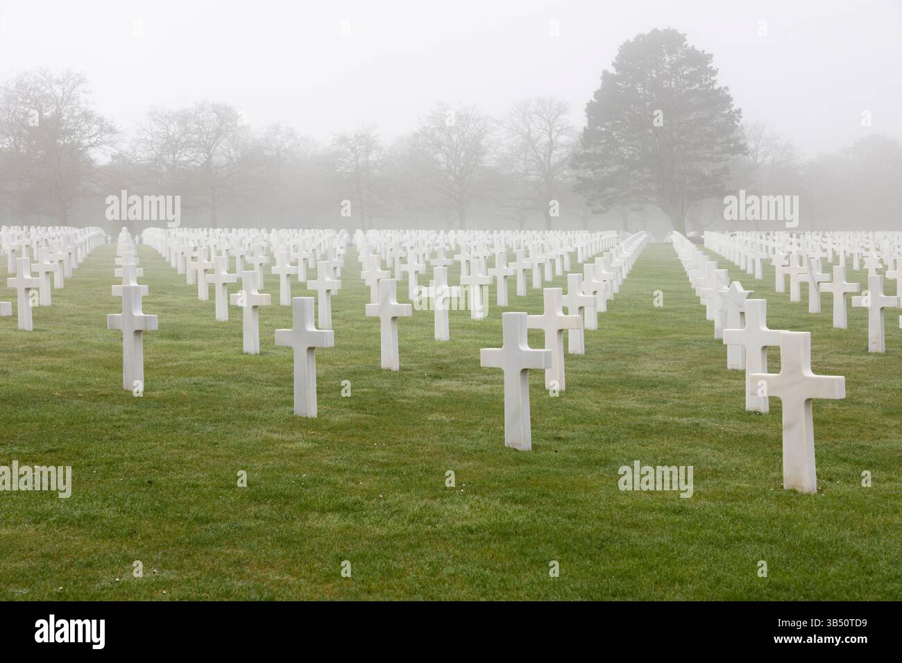 Pierres tombales dans le brouillard au cimetière américain de Normandie, Colleville-sur-mer, Normandie, France, Europe Banque D'Images
