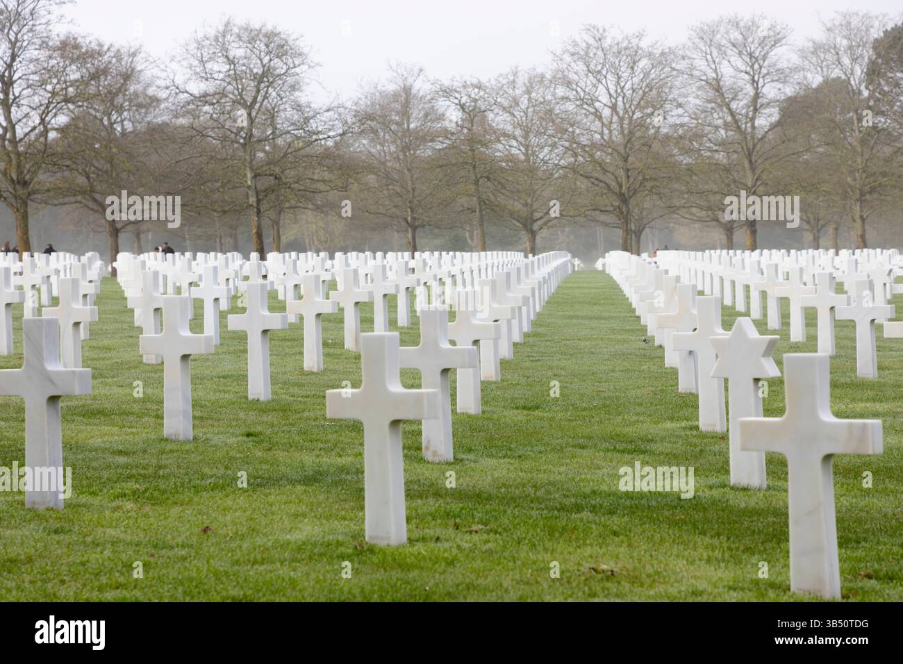 Pierres tombales dans le brouillard au cimetière américain de Normandie, Colleville-sur-mer, Normandie, France, Europe Banque D'Images