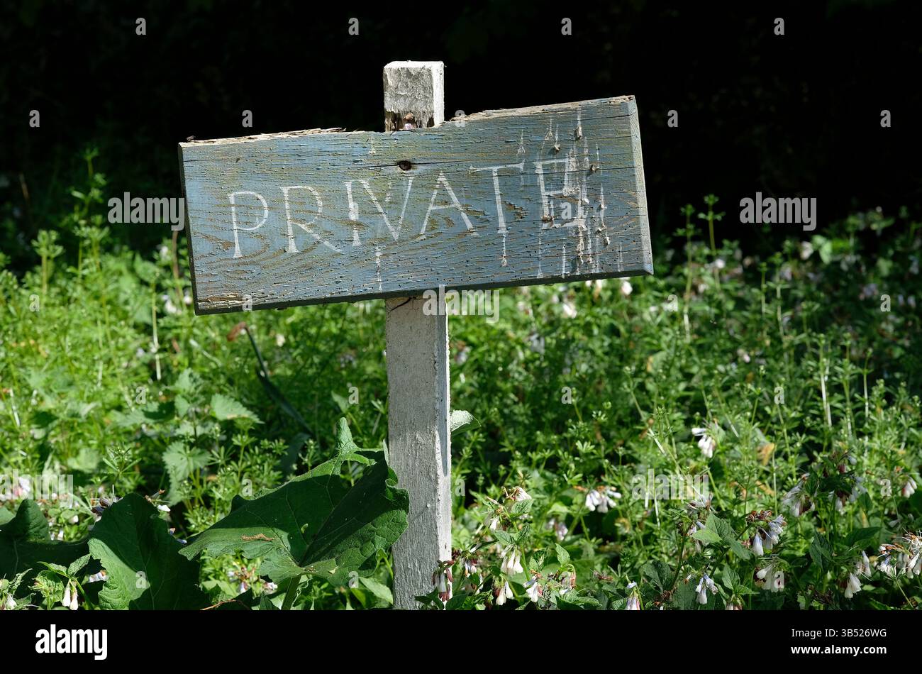 panneau privé en bois altéré, norfolk, angleterre Banque D'Images