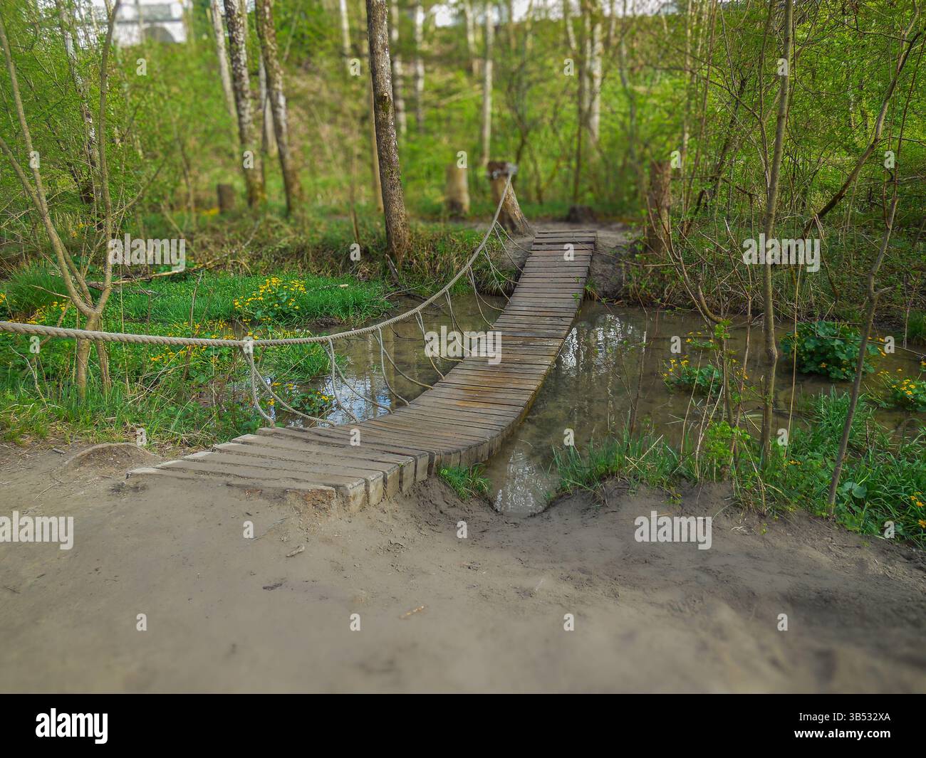 Pont rustique en bois sur Forest Stream Banque D'Images