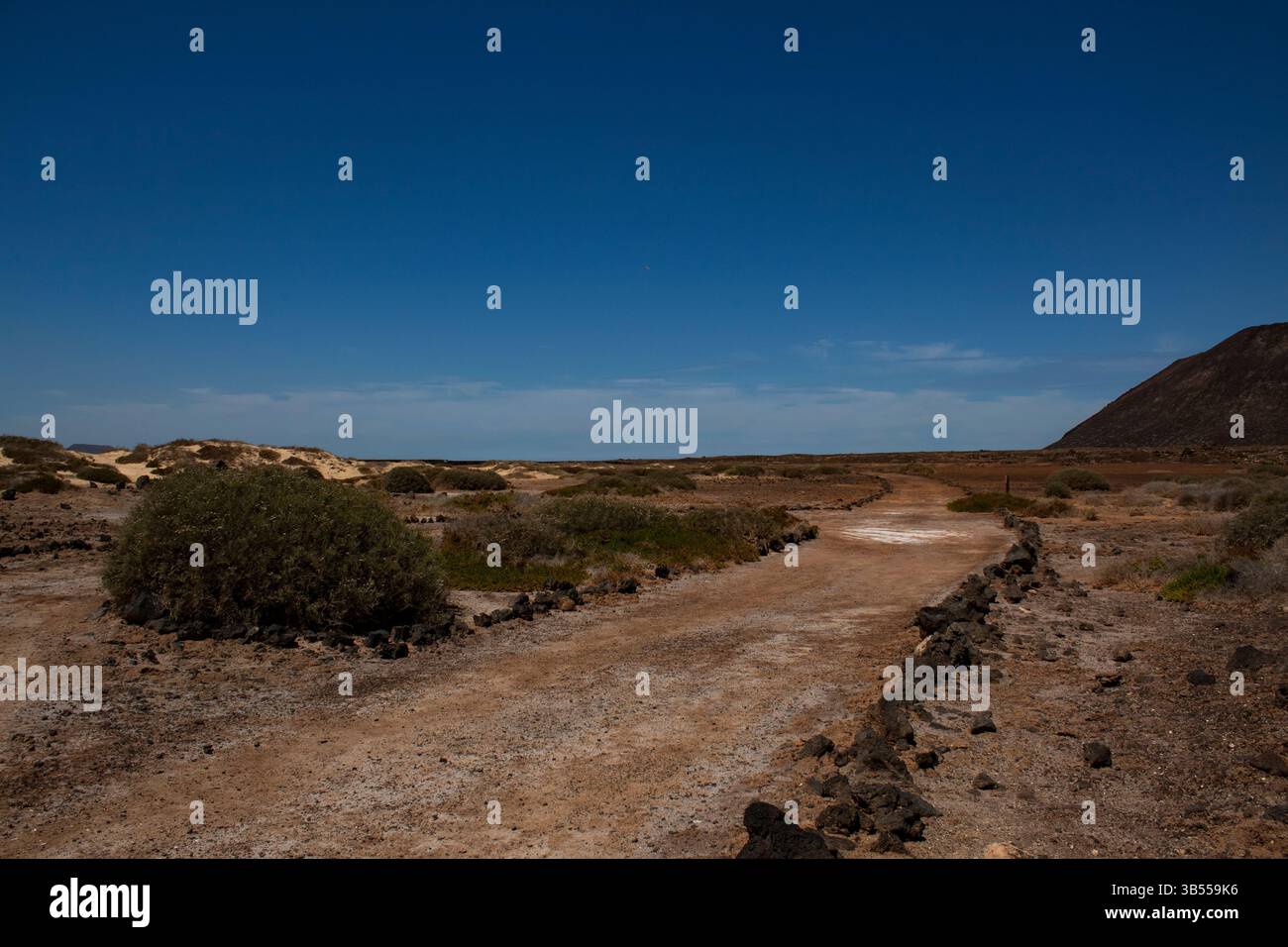 Un sentier sinueux à travers un paysage sec et volcanique, bordé par de bas arbustes et des roches de lave. Le sentier vide se courbe doucement dans l'horizon, symbolizi Banque D'Images