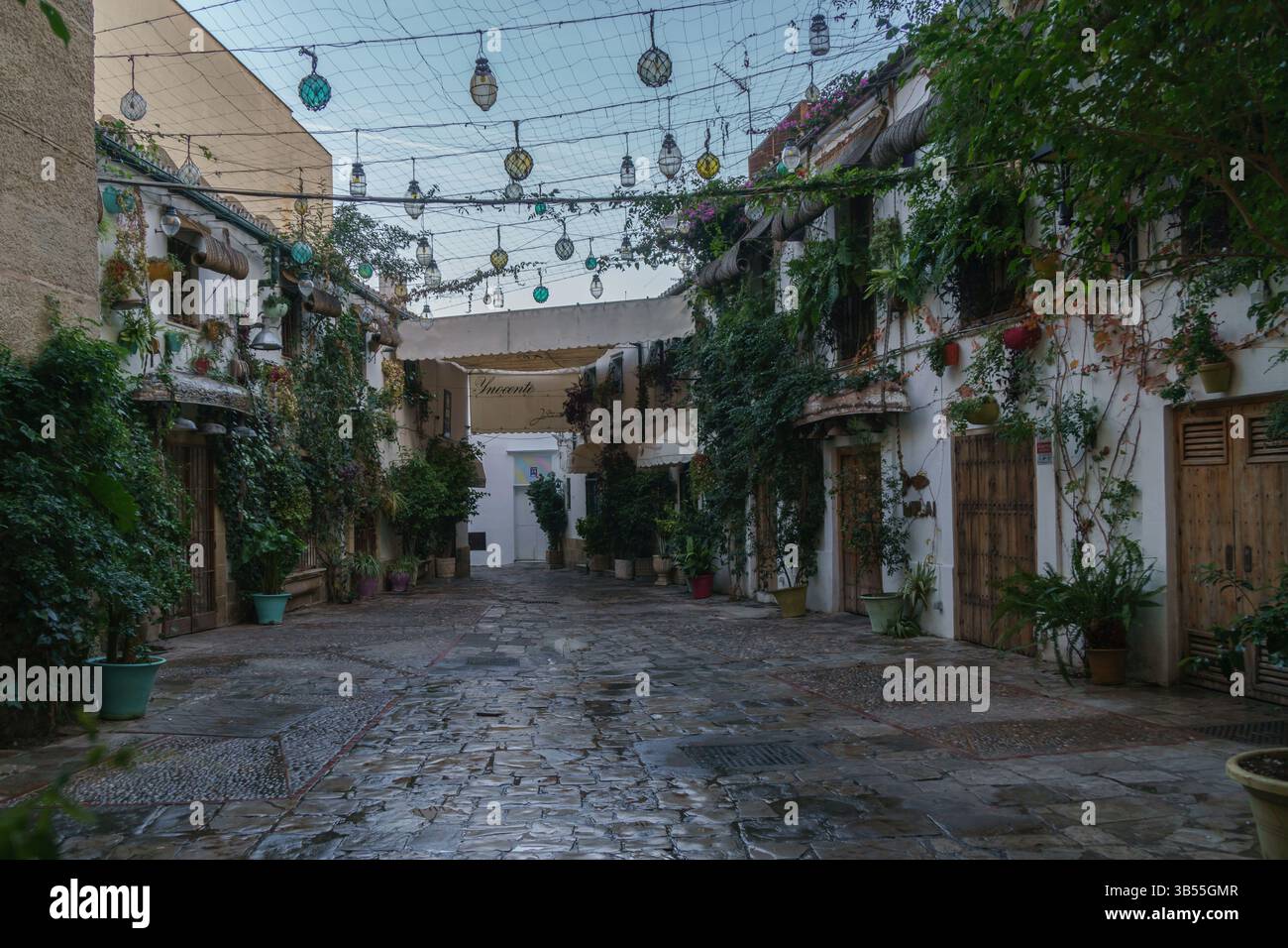 Cour enchanteresse avec lanternes suspendues et verdure Banque D'Images
