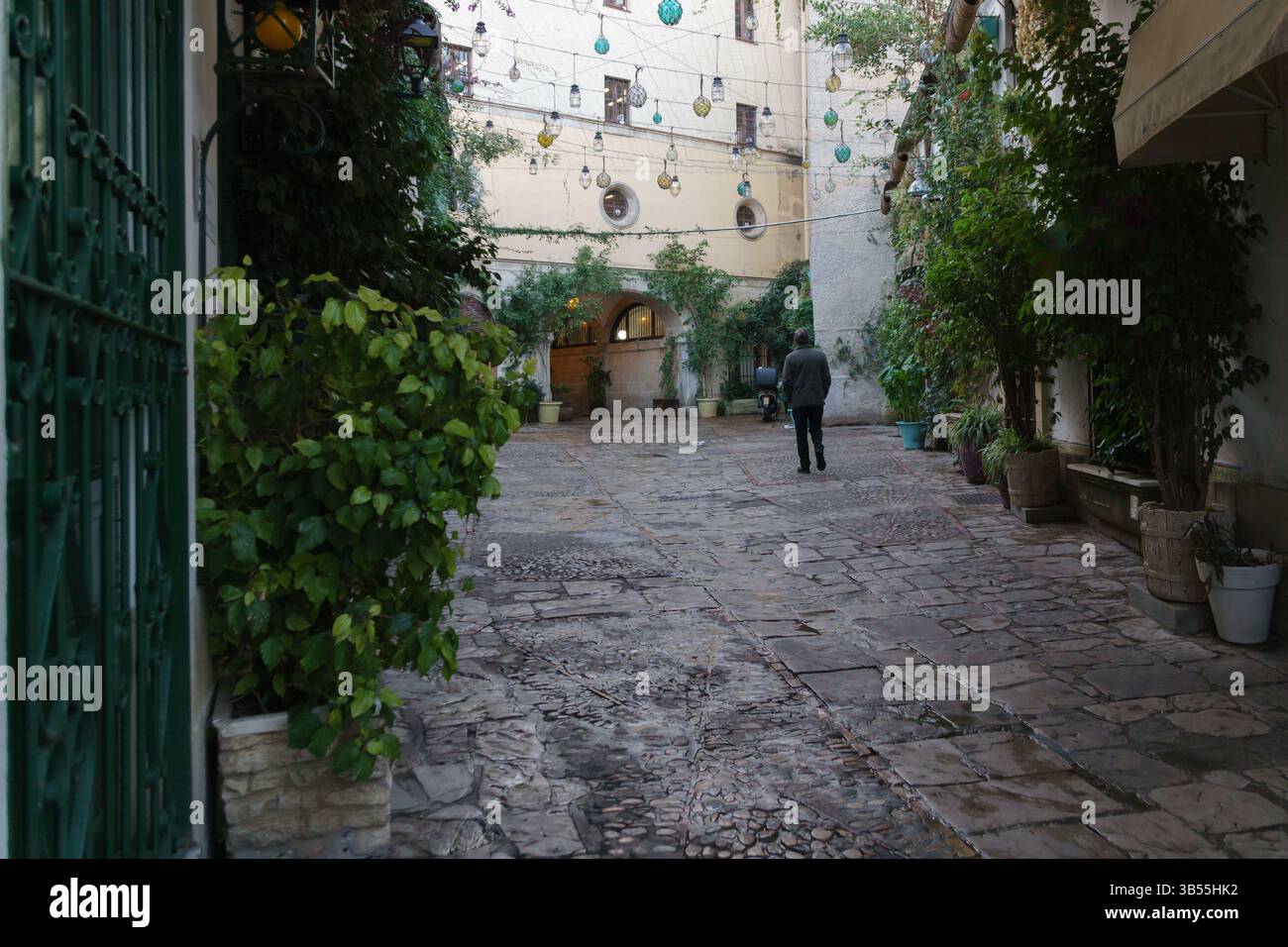 La ruelle pavée enchanteresse, la verdure et les lanternes vintage illuminent le chemin Banque D'Images