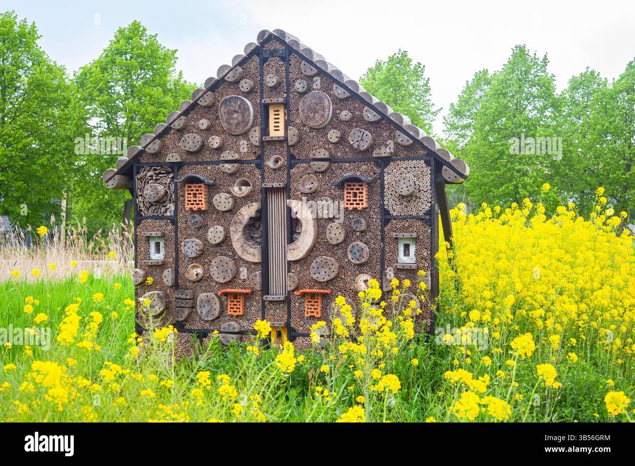 Plutôt grande maison d'insectes au milieu de la floraison de colza à Waddinxveen, pays-Bas Banque D'Images