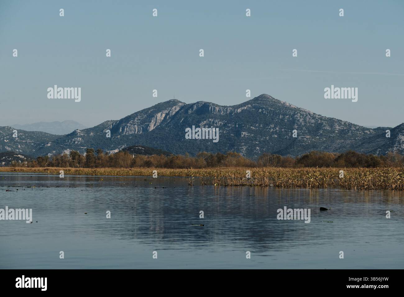 Une vue imprenable sur les montagnes monténégrines luxuriantes et les rives recouvertes de roseaux du lac Skadar sous un ciel bleu clair, reflétant magnifiquement sur le reste wa Banque D'Images