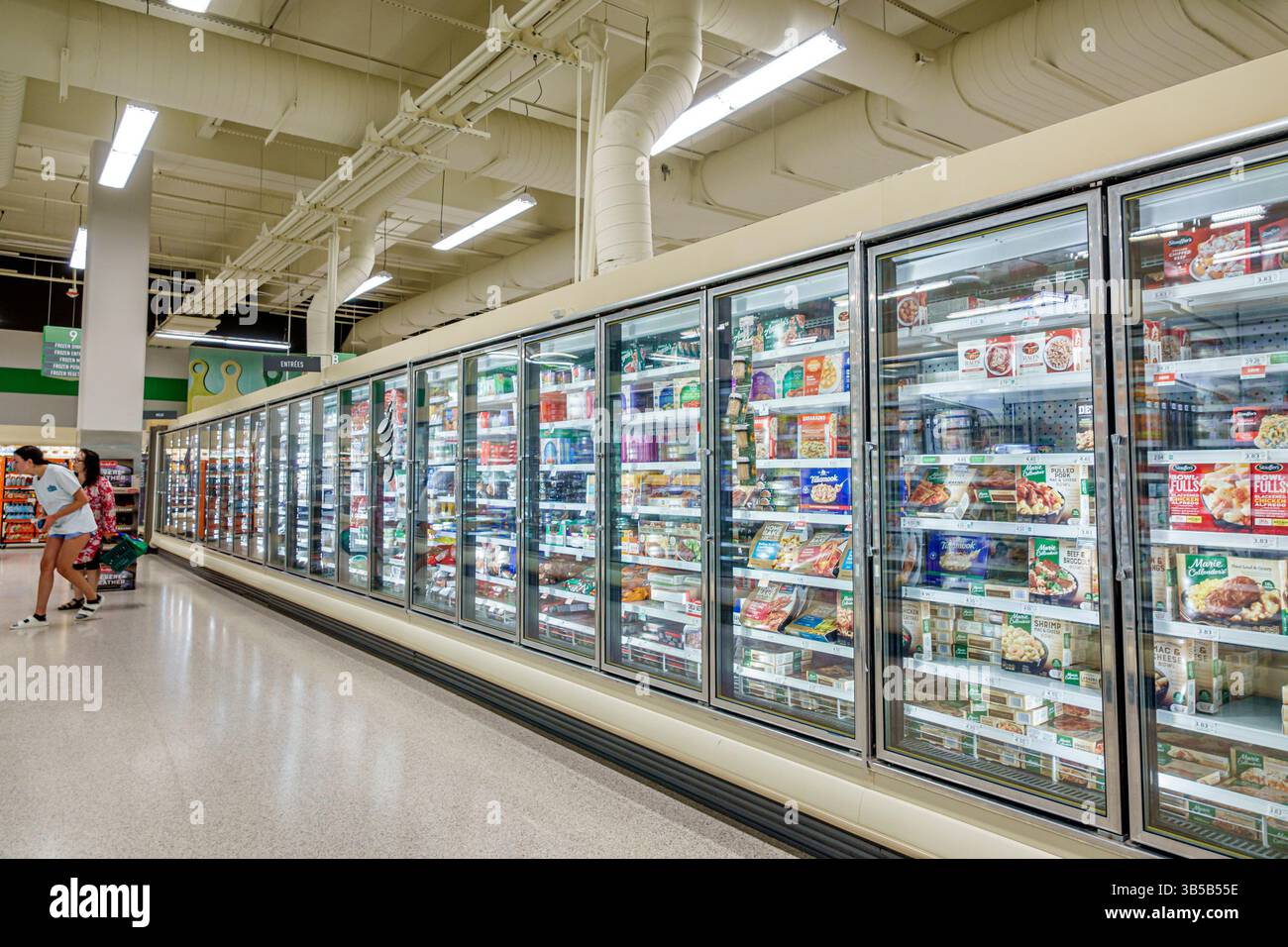 Miami Beach Floride, Collins Avenue, supermarché de magasin d'alimentation Publix épicerie, allée intérieure, vente d'affichage, caisse réfrigérée, section des aliments congelés, verre Banque D'Images