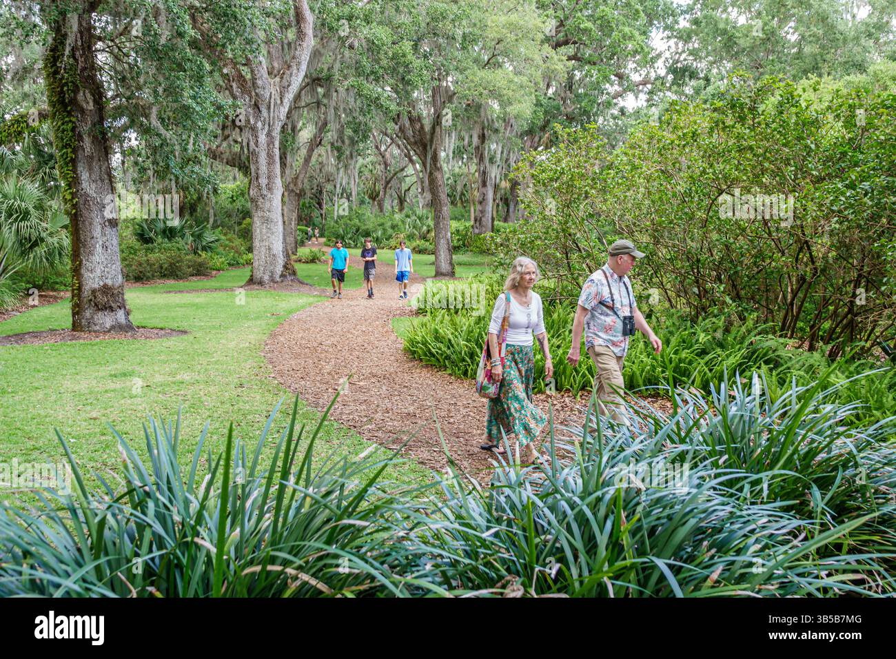 Lac de Galles Floride, Bok Tower Gardens, homme couple femme, adultes seniors marchant ensemble, chemin bordé d'arbres, sentier de la nature, jardin paysager pittoresque, paisible ou Banque D'Images
