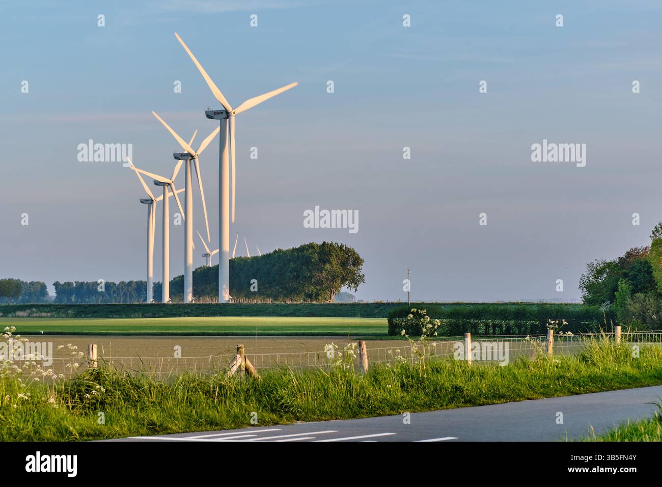 Goeree-Overflakkee-pays-Bas : éoliennes dans un paysage verdoyant de digue sous un ciel bleu clair du soir, faisant partie d'un parc éolien néerlandais à énergie renouvelable pro Banque D'Images