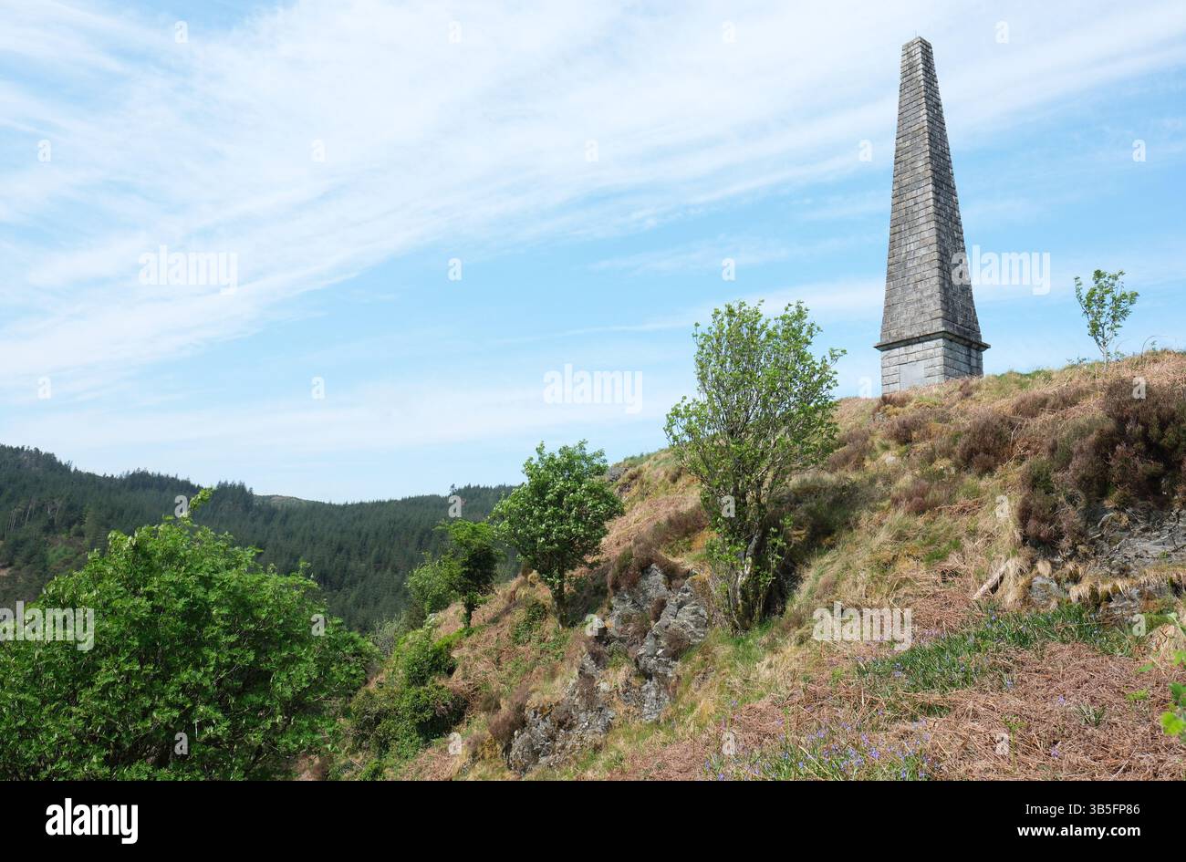 Murray's Monument in the Galloway Hills Scotland UK rend hommage à Alexander Murray, un berger local qui est devenu plus tard professeur - construit en 1835 Banque D'Images