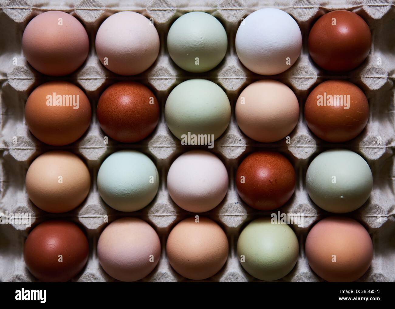 Élevez des œufs de poule naturels dans une boîte en carton Banque D'Images
