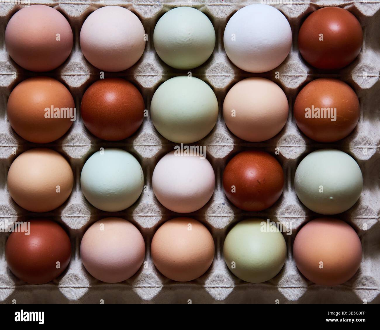 Élevez des œufs de poule naturels dans une boîte en carton Banque D'Images