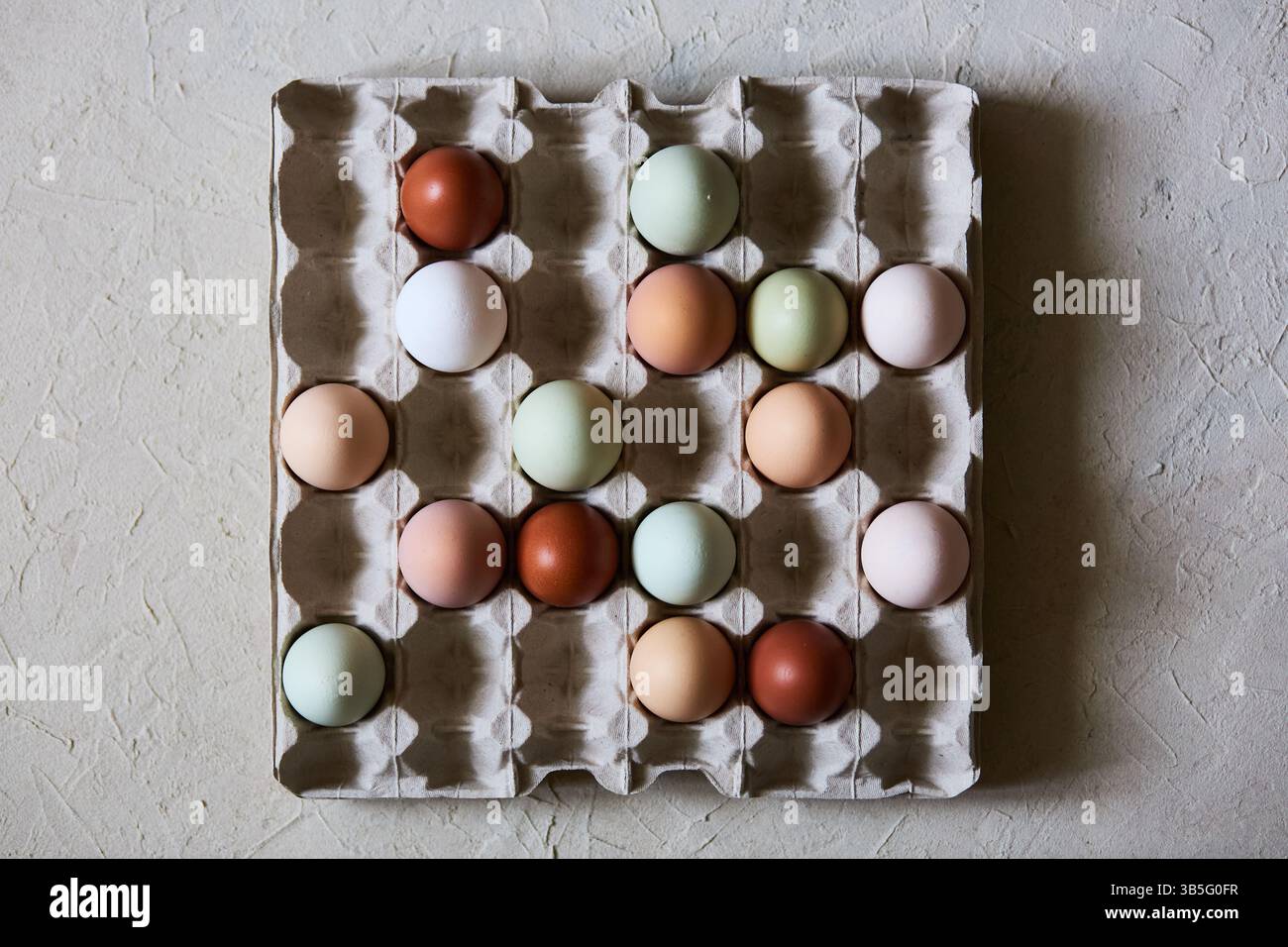 Élevez des œufs de poule naturels dans une boîte en carton Banque D'Images