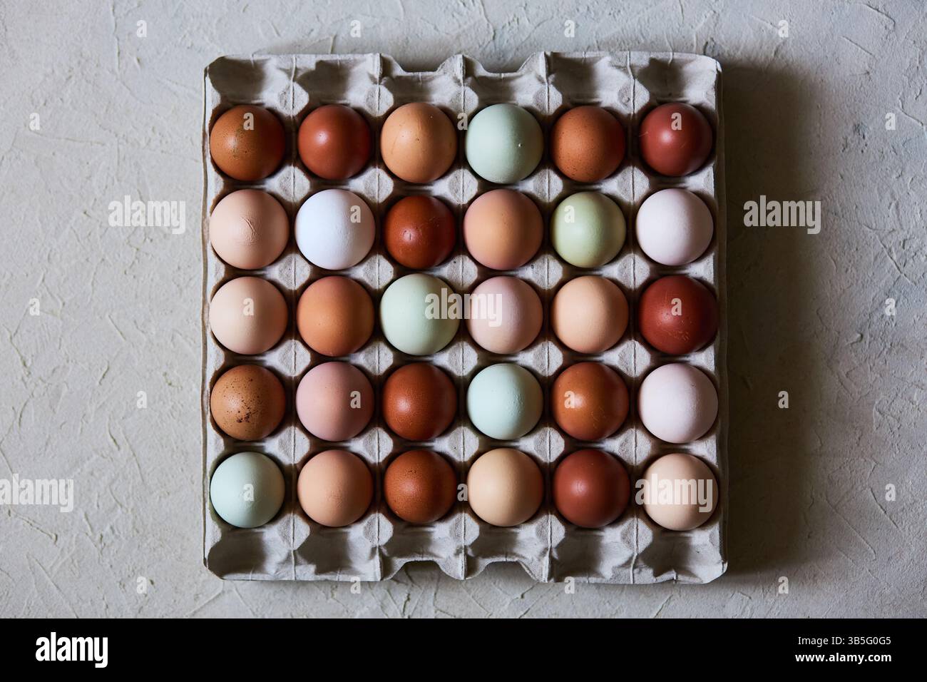 Élevez des œufs de poule naturels dans une boîte en carton Banque D'Images