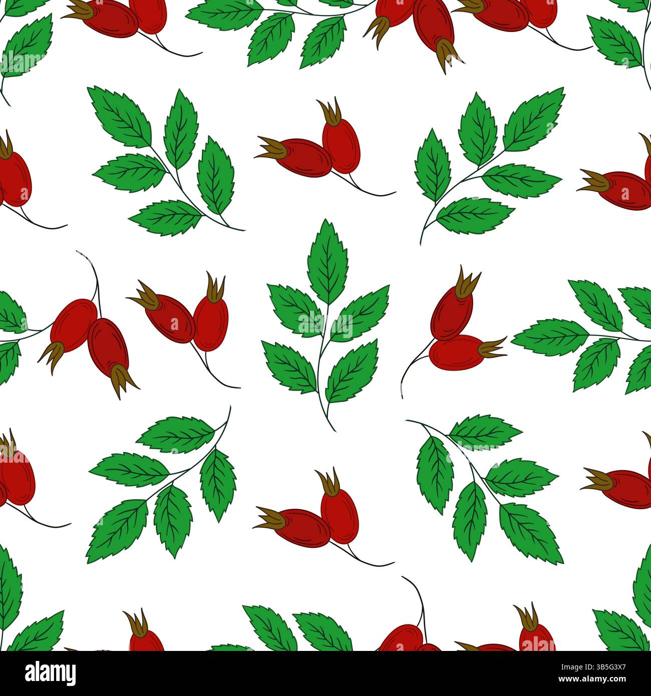 Rosehip. Motif floral sans couture. Modèle pour textile dans le style dessin à la main Illustration de Vecteur