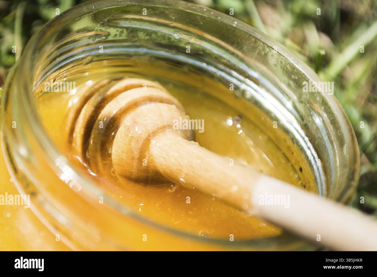 Pot plein de miel sucré. Le miel est des gouttes d'un miel en bois stick Banque D'Images