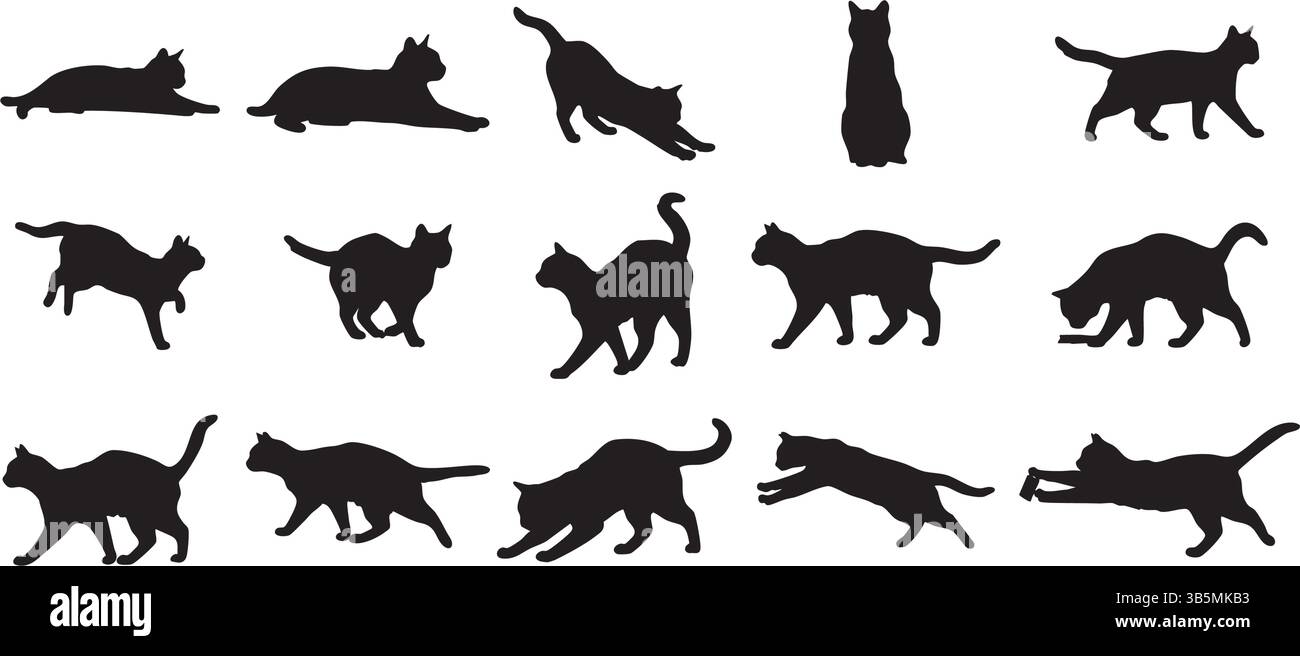Cat Silhouette Vector Set – pose féline et illustration de mouvement pour comportement et conception graphique Illustration de Vecteur