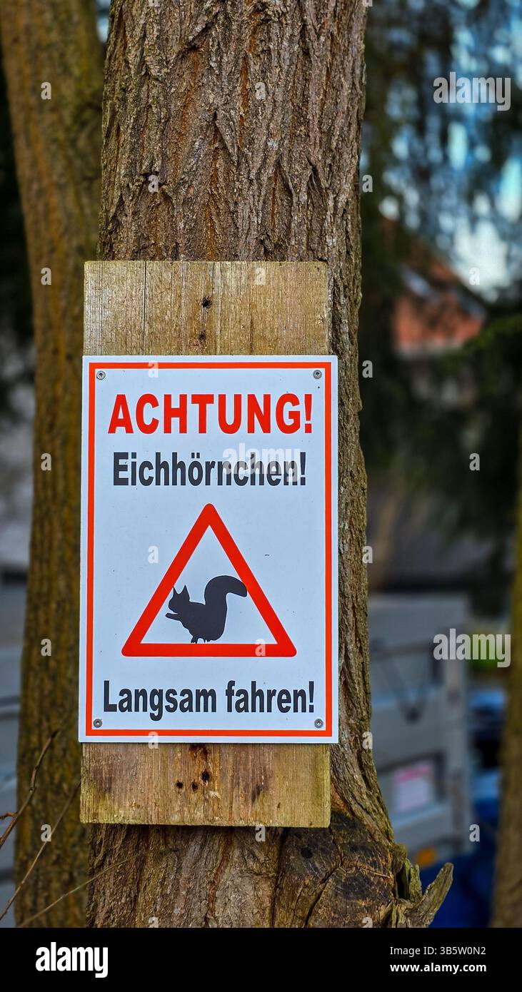 Attention, écureuil. Conduisez prudemment. Mise au point sélective. Le signe en allemand sur l'arbre dans l'une des villes d'Allemagne Banque D'Images