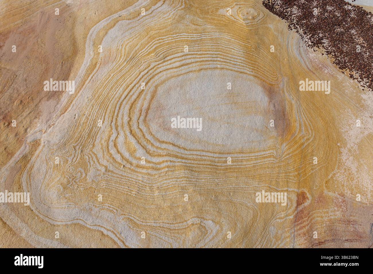 Liesegang sonne sur la plate-forme rocheuse de grès Banque D'Images