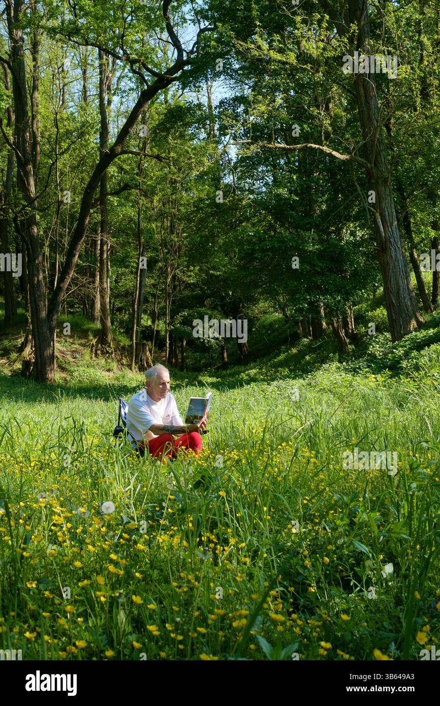 homme plus âgé assis au soleil seul lisant le livre parmi les fleurs sauvages de l'herbe longue avec des bois derrière le comté de zala hongrie Banque D'Images